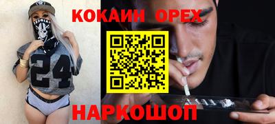 мдпв Кингисепп