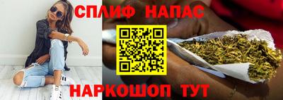 мдпв Кингисепп