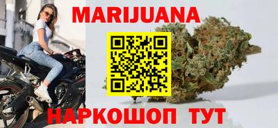 мдпв Кингисепп