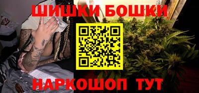 мдпв Кингисепп