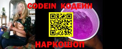 мдпв Кингисепп