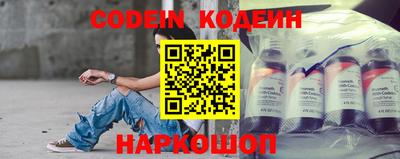 мдпв Кингисепп