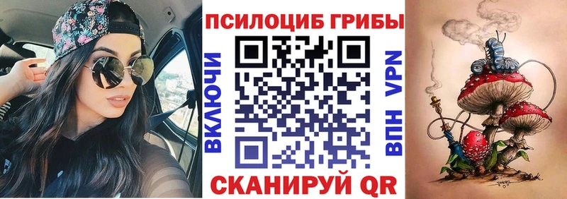 Галлюциногенные грибы Psilocybe  где продают наркотики  Аксай 