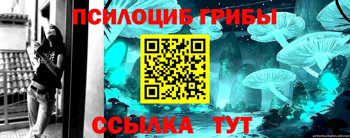 Галлюциногенные грибы мицелий  Вход с VPN  купить  цена  Аксай 