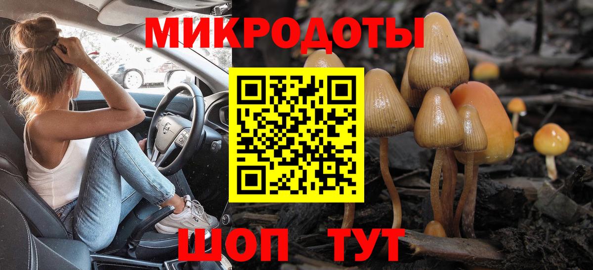 Псилоцибиновые грибы мухоморы Аксай