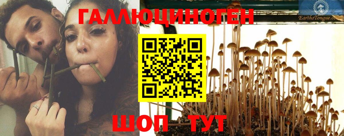 Галлюциногенные грибы MAGIC MUSHROOMS  Аксай  Псилоцибиновые грибы прущие грибы 